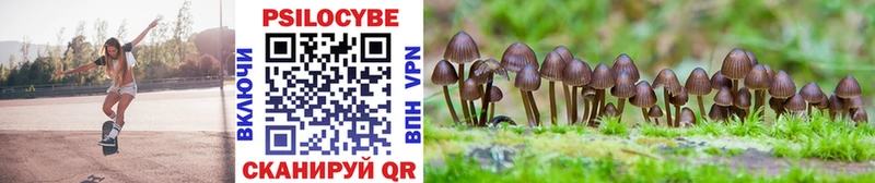 Галлюциногенные грибы Magic Shrooms  купить наркотик  Сургут 