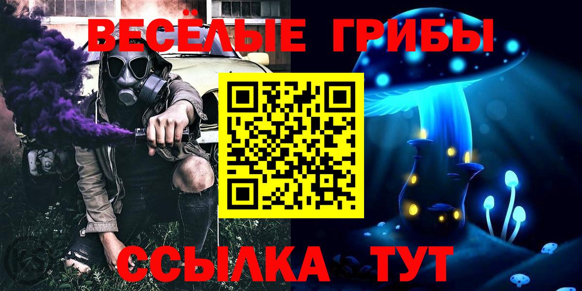 Галлюциногенные грибы мухоморы  Сургут  Галлюциногенные грибы Cubensis 