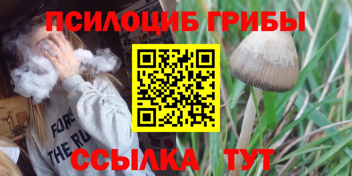 Галлюциногенные грибы MAGIC MUSHROOMS  Вход с VPN  Сургут 